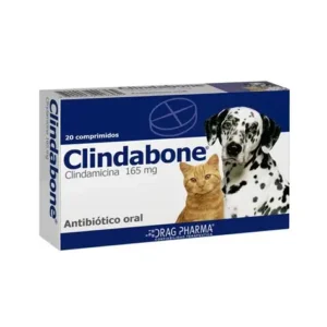 CLINDABONE 165 MG (CLINDAMICINA).