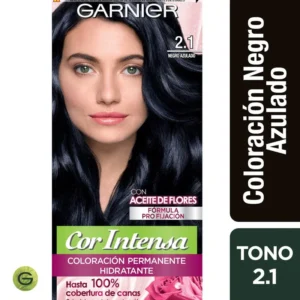 GARNIER 2.1 NEGRO AZULADO